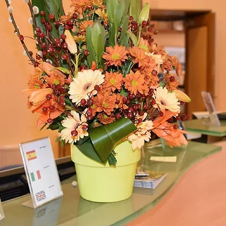 Hotel Kabanel By Happyculture